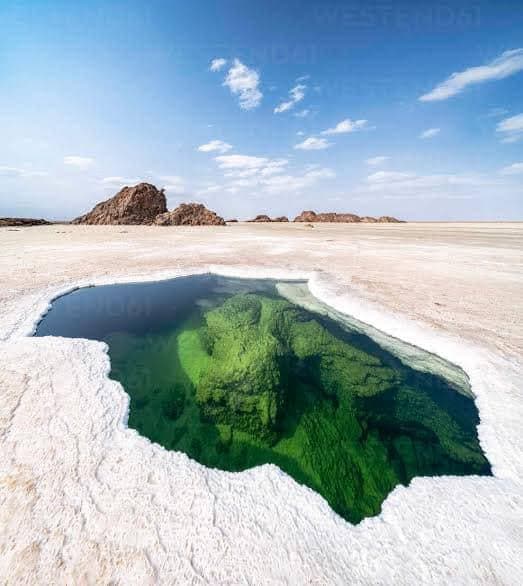 Felipe Pelaquim Image