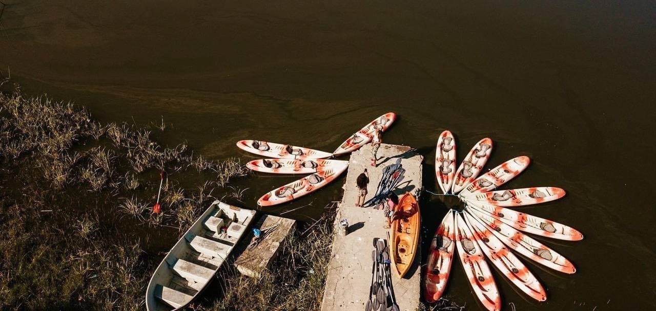 Felipe Pelaquim Image